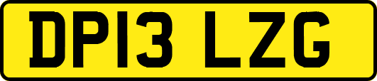 DP13LZG