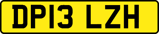 DP13LZH