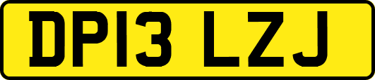 DP13LZJ