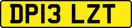 DP13LZT