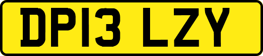 DP13LZY