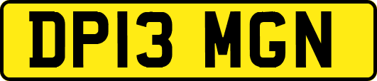 DP13MGN