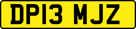DP13MJZ