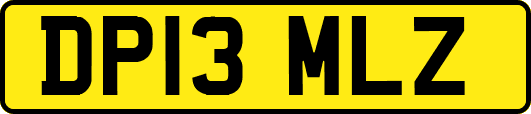DP13MLZ
