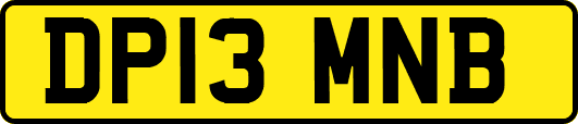 DP13MNB