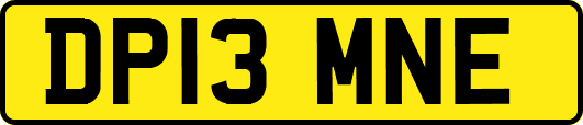 DP13MNE