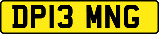 DP13MNG