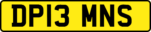 DP13MNS