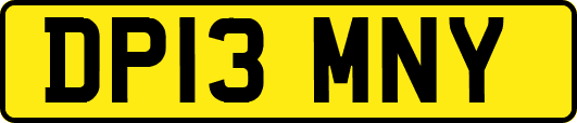 DP13MNY