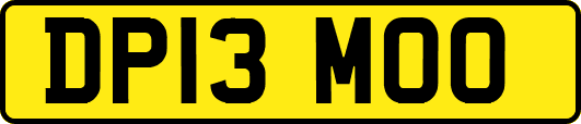 DP13MOO