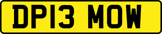 DP13MOW