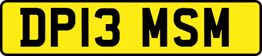 DP13MSM