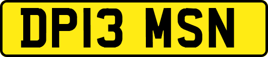 DP13MSN