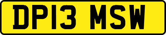 DP13MSW