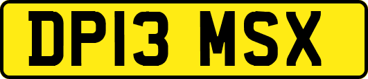 DP13MSX