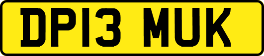 DP13MUK