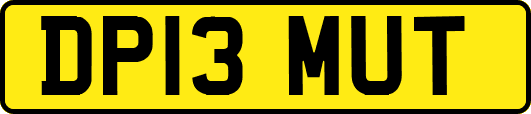 DP13MUT
