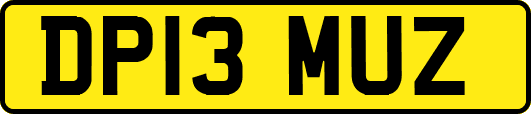 DP13MUZ