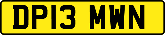 DP13MWN