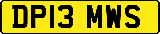 DP13MWS