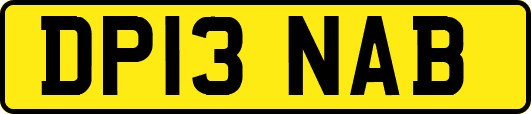 DP13NAB