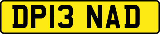 DP13NAD