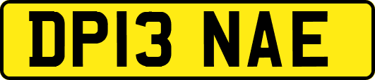 DP13NAE