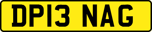 DP13NAG