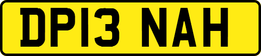 DP13NAH