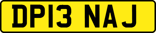 DP13NAJ