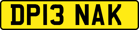 DP13NAK