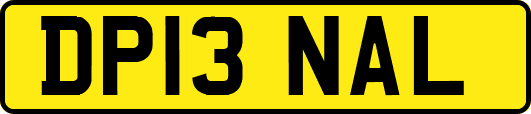 DP13NAL