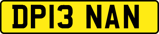 DP13NAN