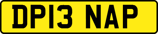 DP13NAP