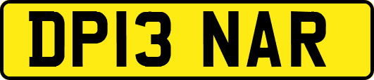 DP13NAR