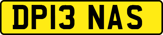 DP13NAS