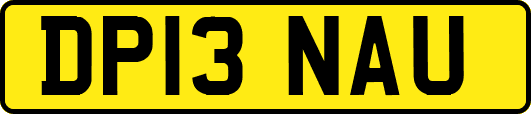 DP13NAU