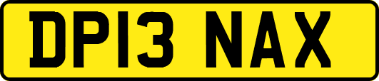 DP13NAX