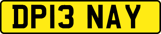 DP13NAY