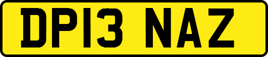DP13NAZ