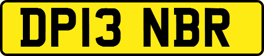 DP13NBR