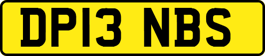 DP13NBS