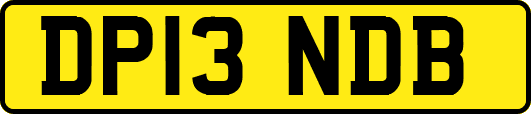 DP13NDB