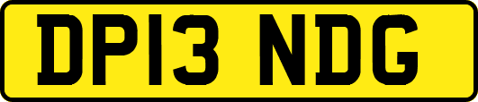 DP13NDG