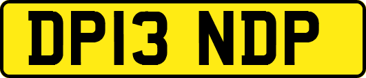 DP13NDP