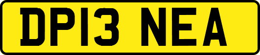 DP13NEA