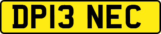 DP13NEC