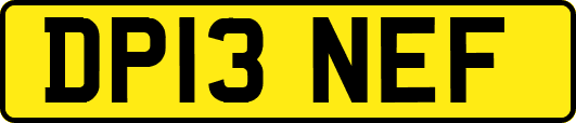 DP13NEF