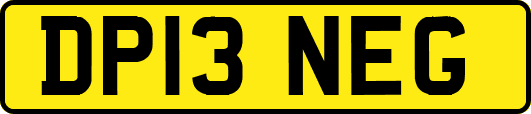 DP13NEG