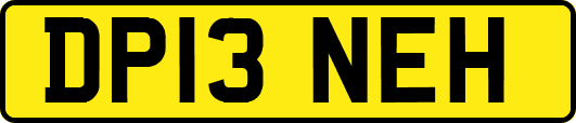 DP13NEH